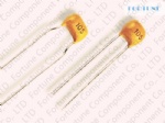 Radial Leads Multilayer Ceramic Tantalum Capacitor